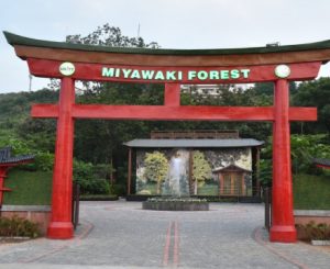 Miyawaki Forest