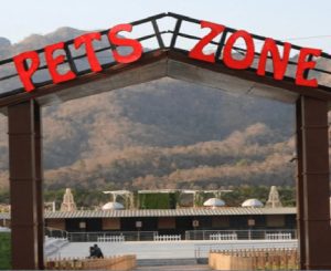 Pets Zone