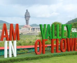 Valley of Flowers Narmada